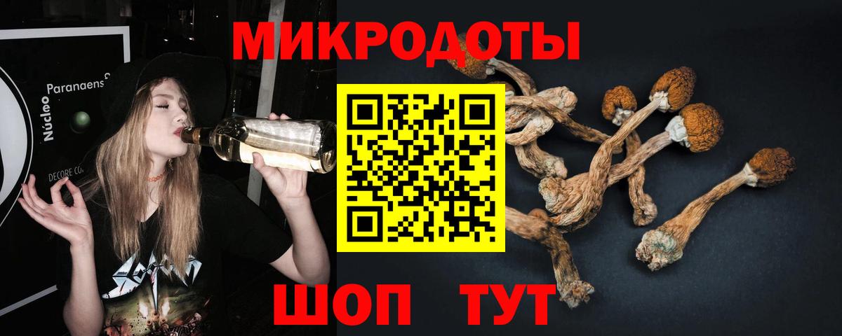 Гусев  Псилоцибиновые грибы мицелий  Вход с VPN 